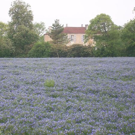 مبيت وإفطار Blanzay-sur-Boutonne Manoir Angle المظهر الخارجي الصورة