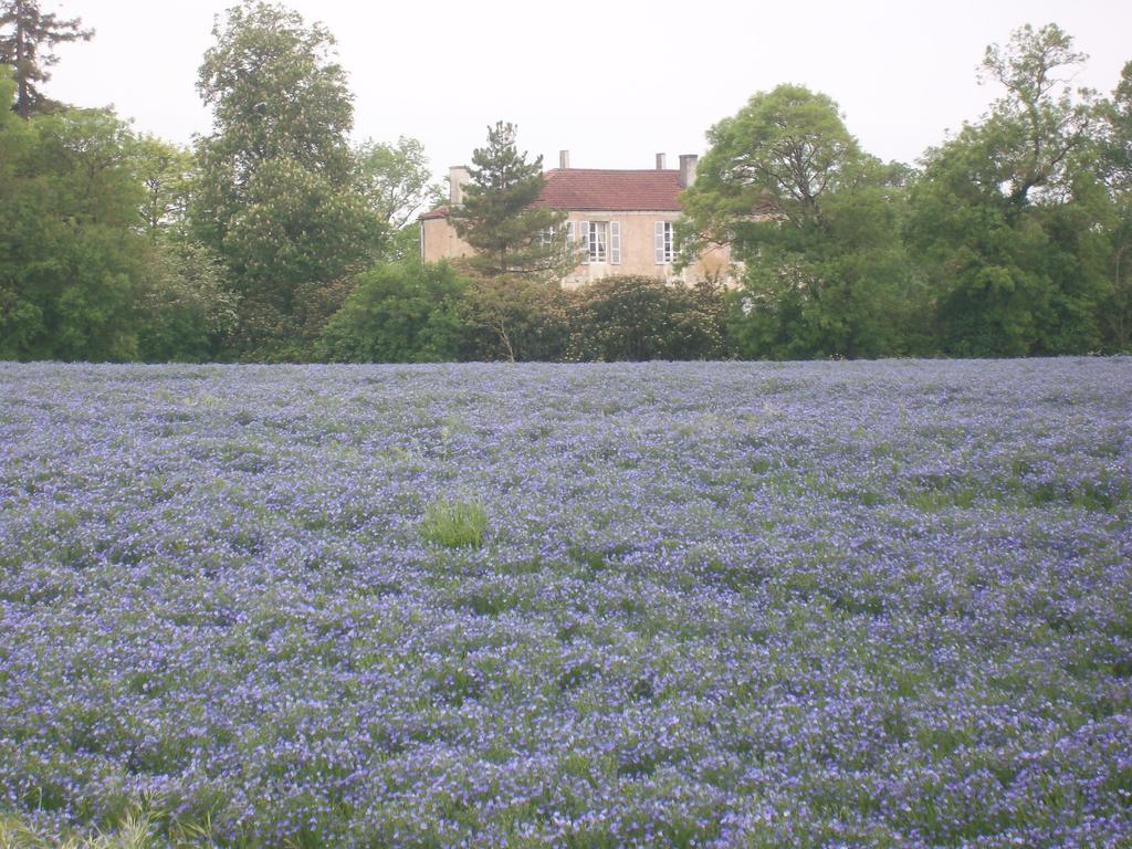 مبيت وإفطار Blanzay-sur-Boutonne Manoir Angle المظهر الخارجي الصورة